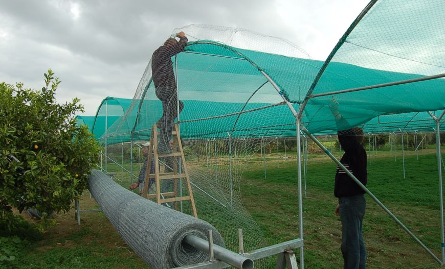 Snail Farms
